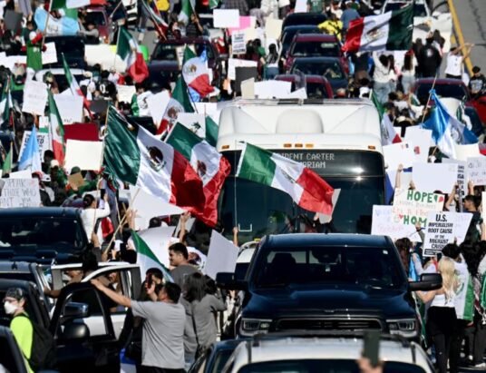 Protesters waving flags at Buford Highway