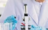 Torrent Pharmaceuticals JB Chemicals