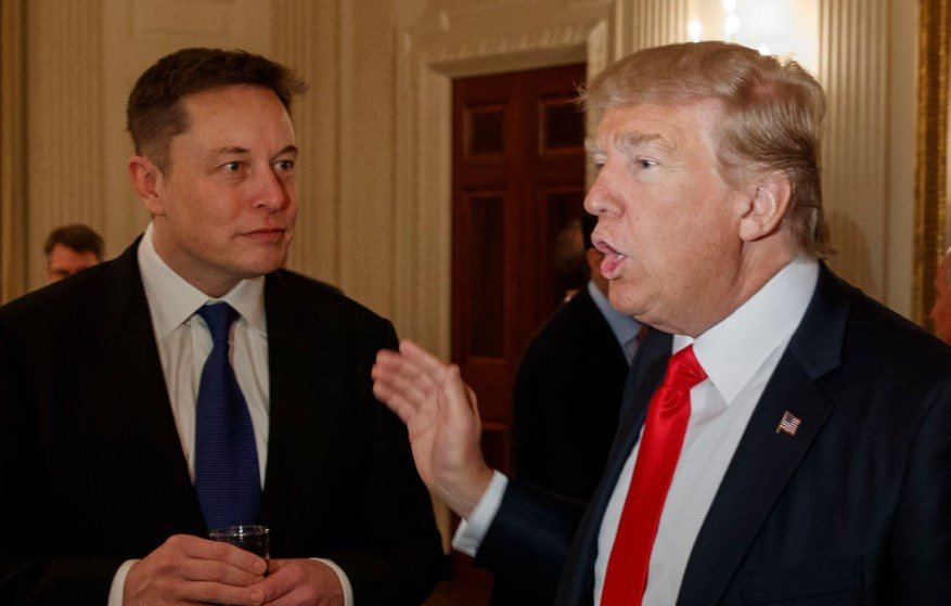 donald trump elon musk