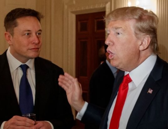 elon musk donald trump