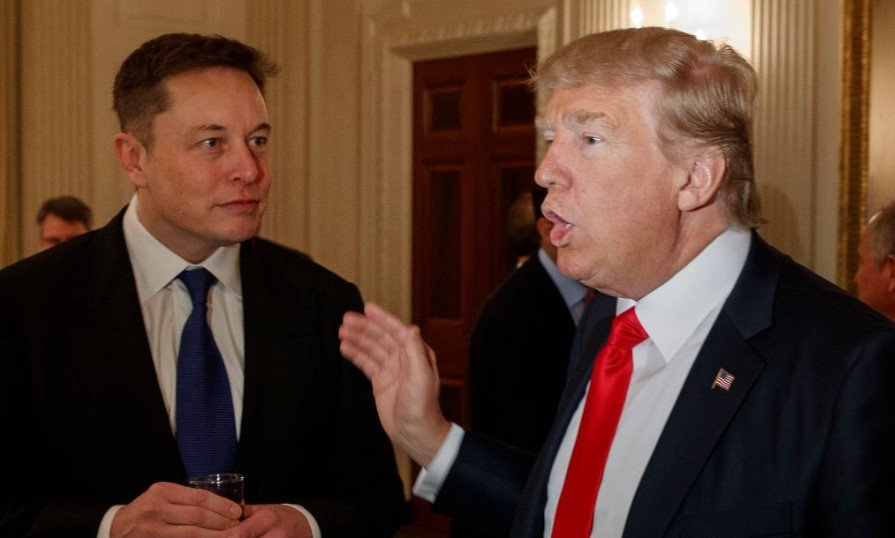 elon musk donald trump