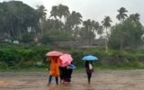 kerala monsoon floods road trees rain