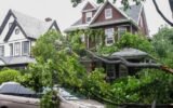 storm damage tree on car Georgia