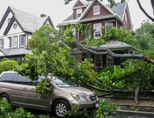 storm damage tree on car Georgia