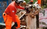 dog barking during landslide rescue Himachal
