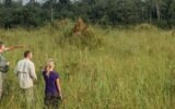 georgia safari conservation park
