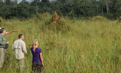 Giraffes, Zebras, and a Mission: Inside Georgia’s Most Unexpected Wildlife Sanctuary