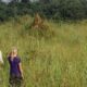 Giraffes, Zebras, and a Mission: Inside Georgia’s Most Unexpected Wildlife Sanctuary