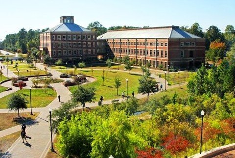georgia southern university