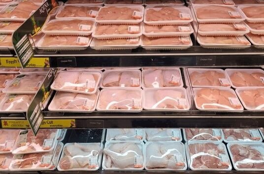 packaged chicken meat at grocery