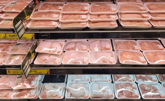 packaged chicken meat at grocery