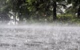 India monsoon heavy rains Telangana