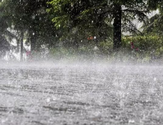 India monsoon heavy rains Telangana