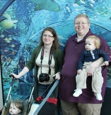 aquarium accessibility tech