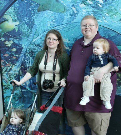 aquarium accessibility tech