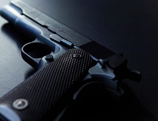 georgia attorney general chris carr savannah gun