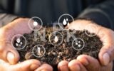 hurricane soil bacteria