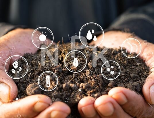hurricane soil bacteria