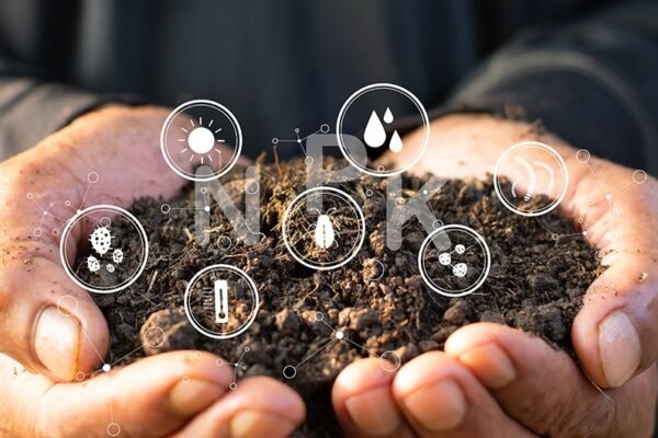 hurricane soil bacteria
