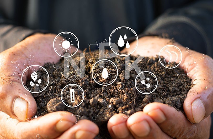 hurricane soil bacteria