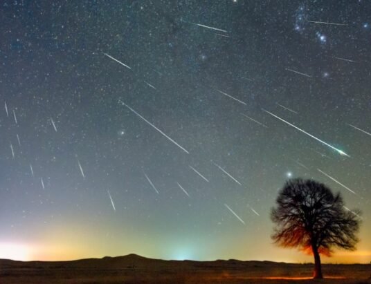 meteor shower night sky