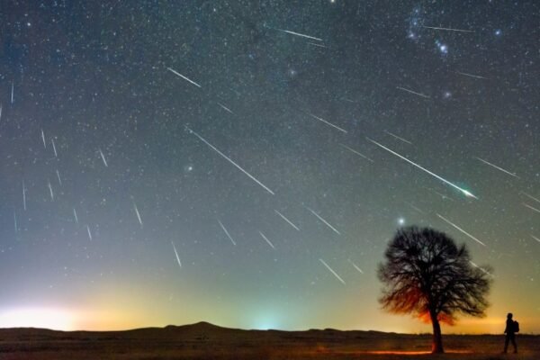 meteor shower night sky