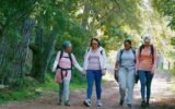 people walking outdoors