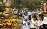 Vietnamese festival crowd