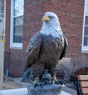 bald eagle statue