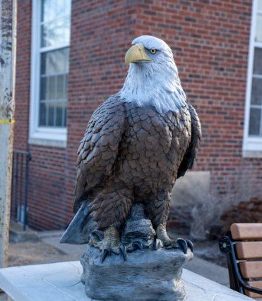 bald eagle statue