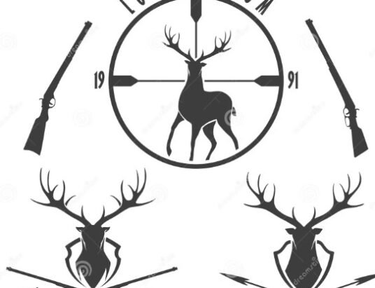 hunting safety illustration