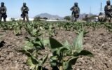 immigration raid workers