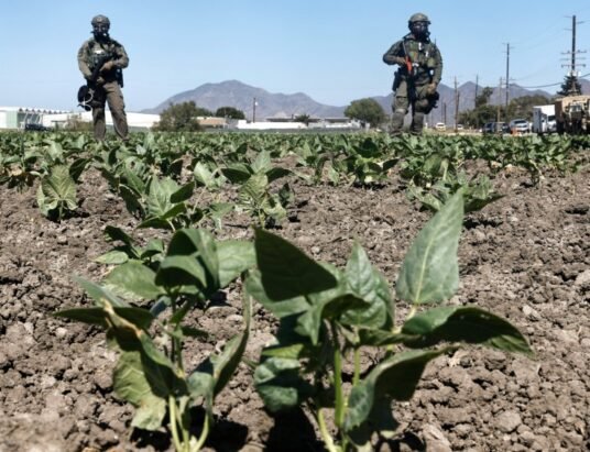 immigration raid workers