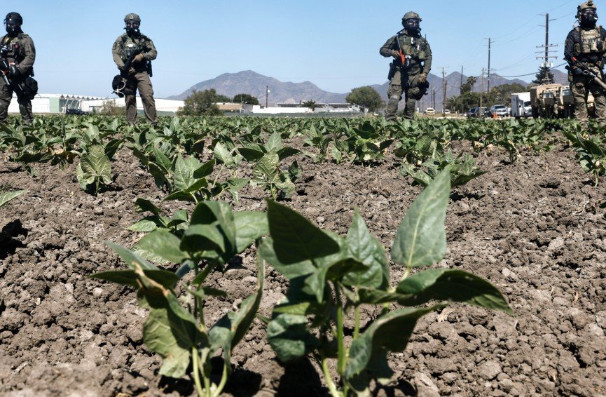 immigration raid workers