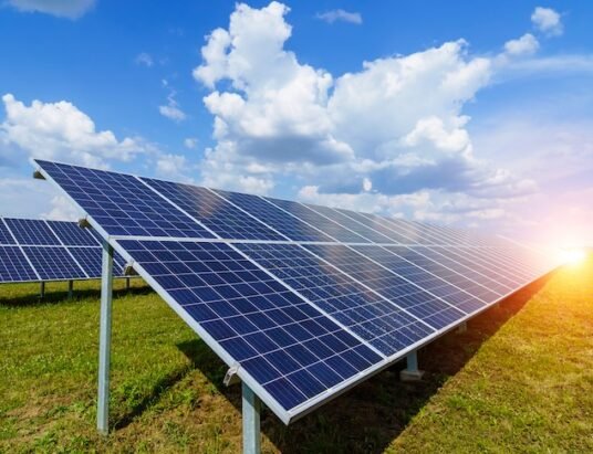 solar panels in field