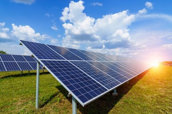 solar panels in field