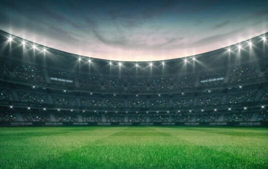 cricket match stadium