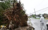 hurricane damage