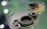 rare earth magnets