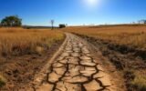 drought affected landscape
