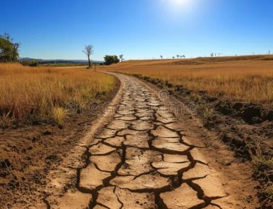 drought affected landscape