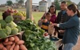 food assistance program