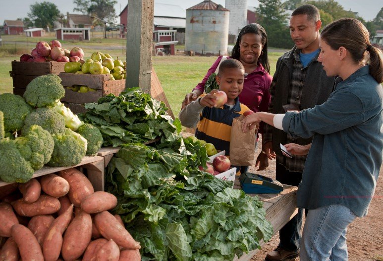 food assistance program