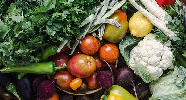 planetary health diet