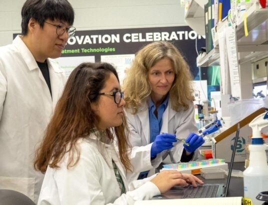 university research funding