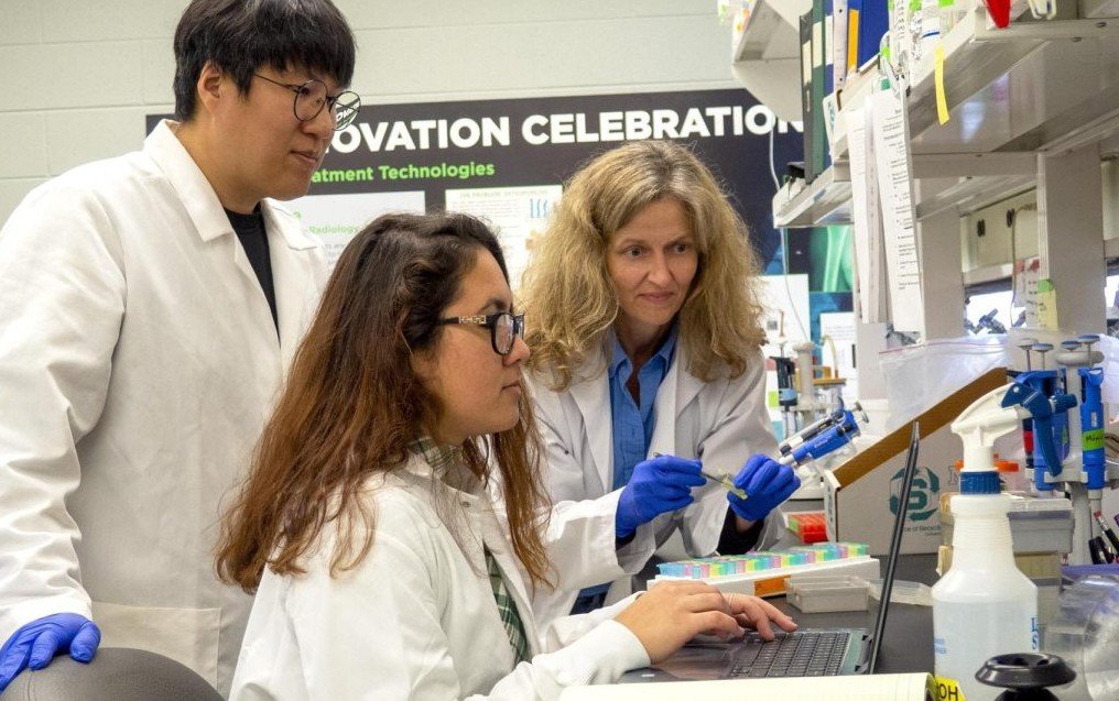 university research funding