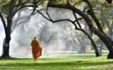 Buddhist monks walking