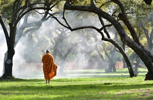 Buddhist monks walking