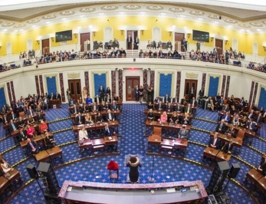 Georgia state senate election