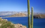 Mexico landscape conservation